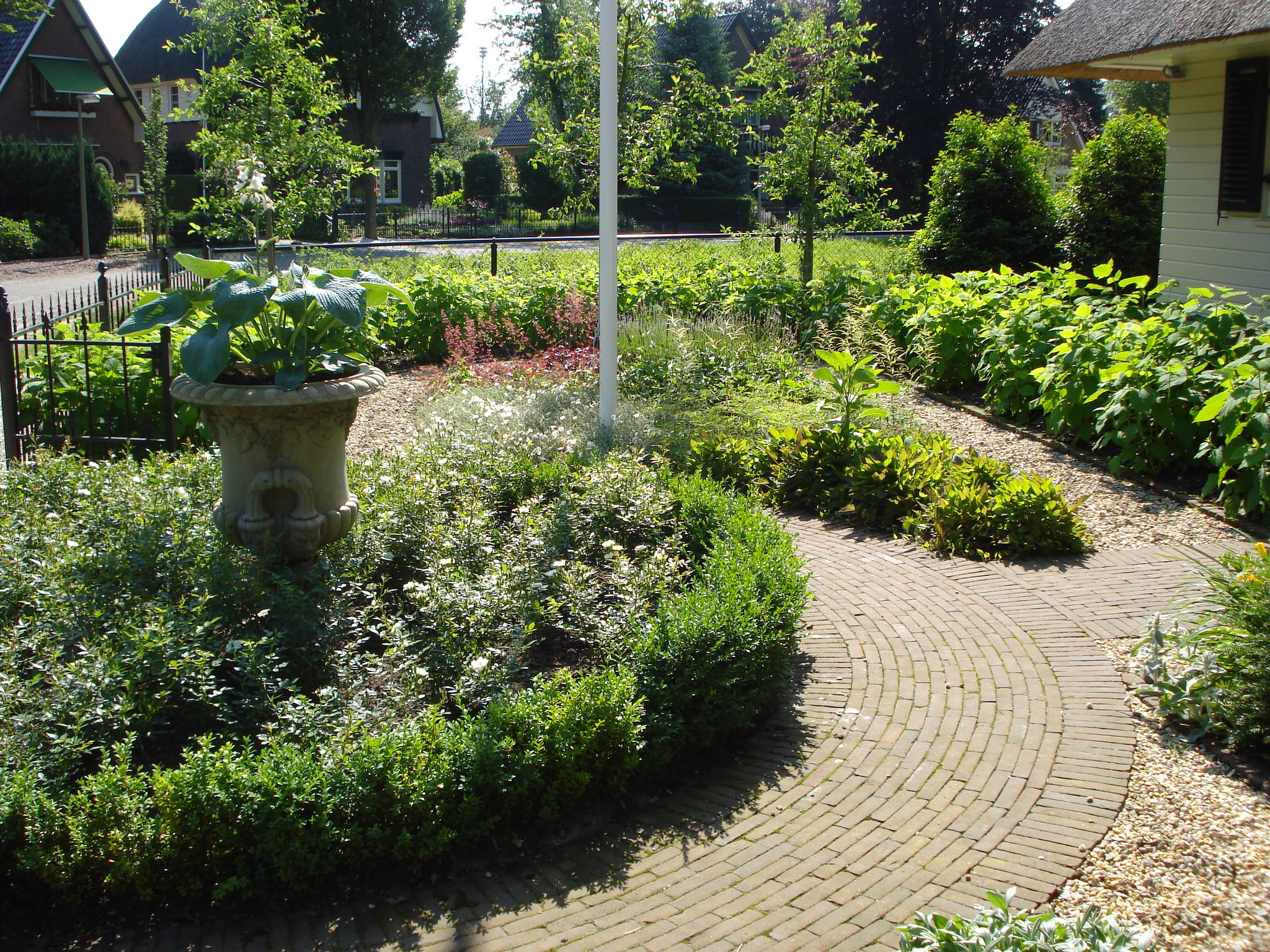 Hoveniersbedrijf G.Weultjes Bloemrijke tuin Vaassen Buxus.jpg